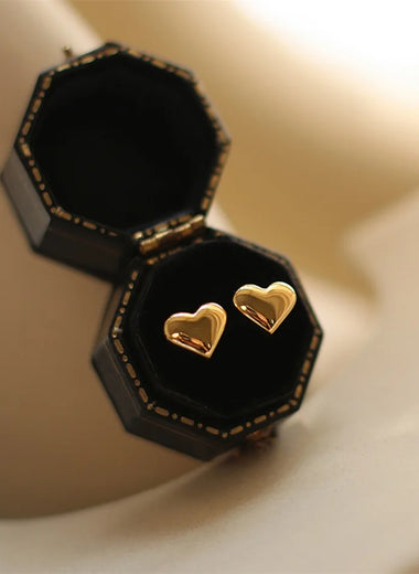 Fashion Earrings
